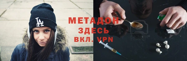 прущие грибы Абинск