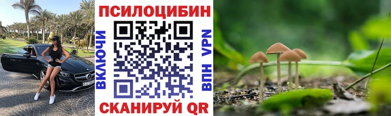 что такое наркотик  Южно-Сухокумск  Галлюциногенные грибы ЛСД 